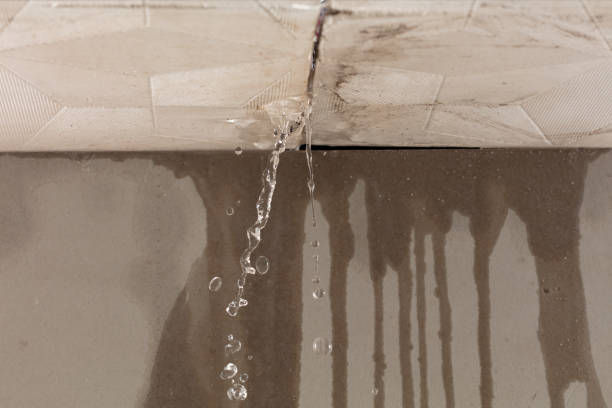 Professional Burst Pipe Cleanup technician working in Verona, KY